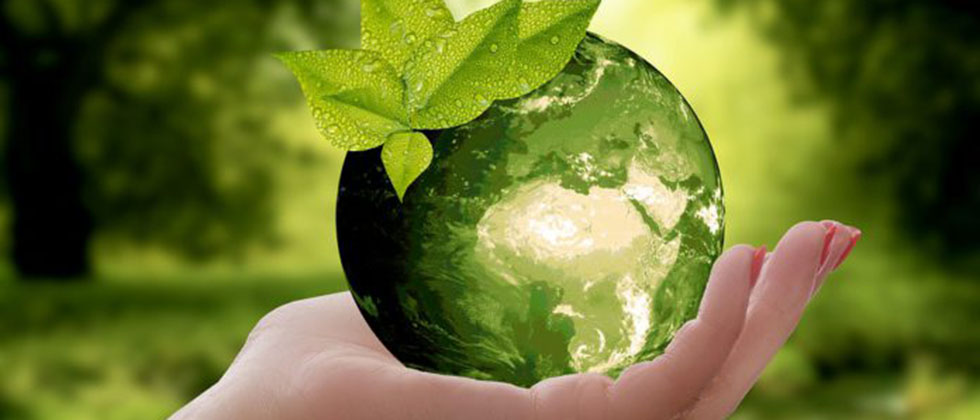 The MIGreenDEAL project is moving forward with the creation of the e-Learning platform